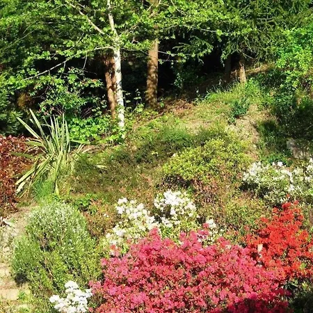 Holiday home Traumhaftes Mit Zugang Zum Fluss